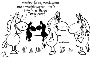 Equine party cartoon