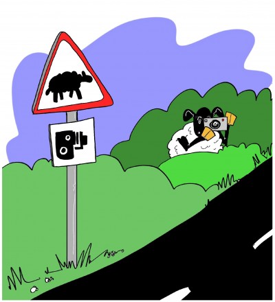 Sheep paparazzi cartoon