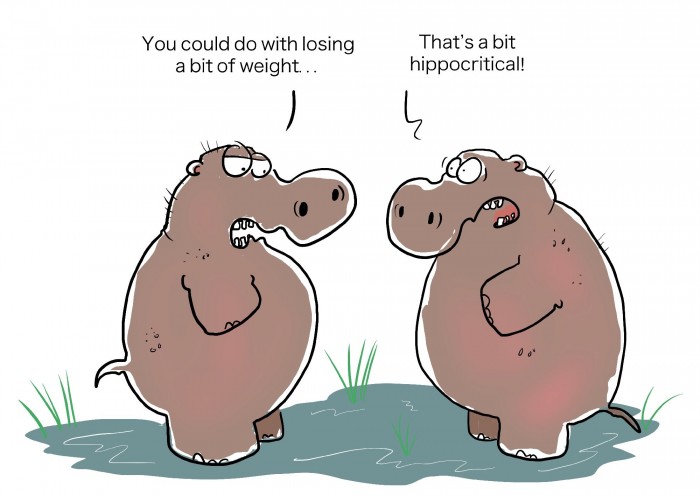 Two hippopotamuses