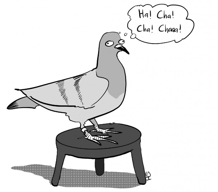 Stool pigeon