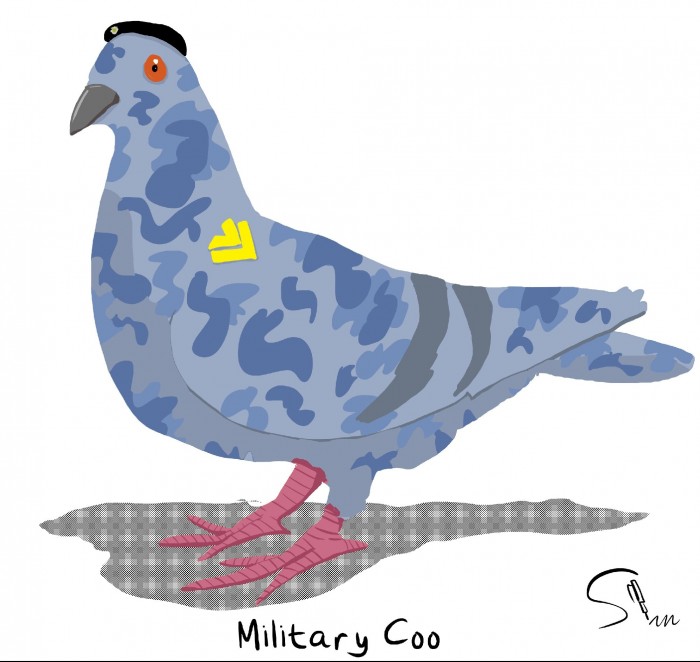 Military coo