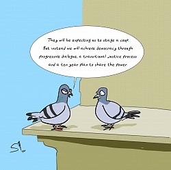 Pigeon cartoons are funny