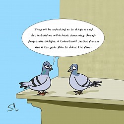 Pigeon cartoons are funny