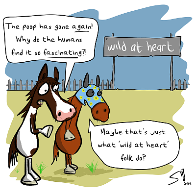 Wild at heart horses poo mystery